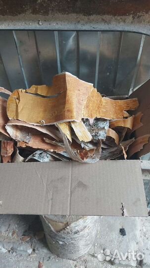 Береста для творчества розжига 2кг