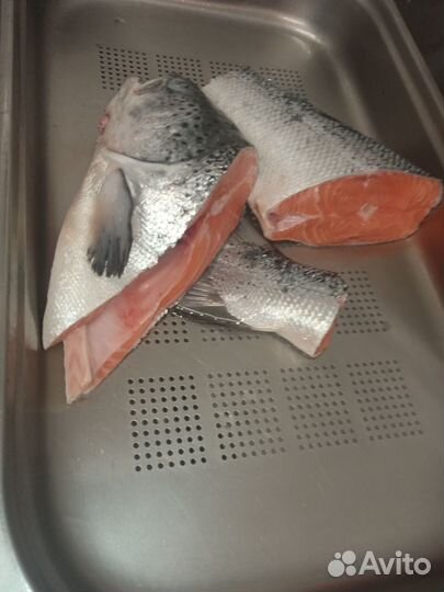 Суповой набор семги