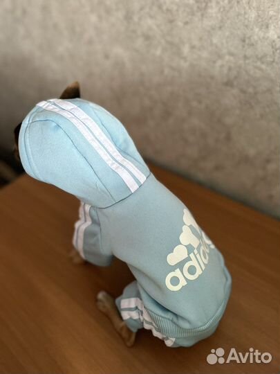 Теплый комбинезон для маленькой собачки