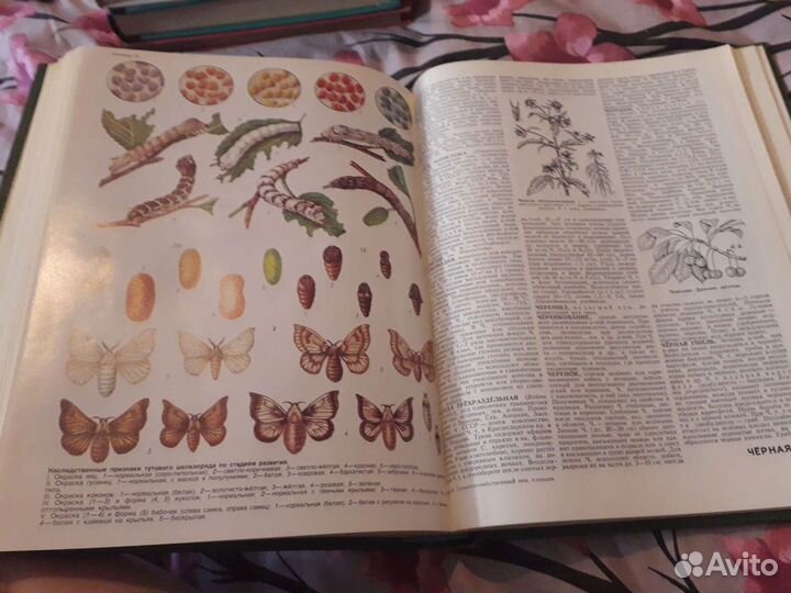 Сельско-хозяйственный энциклопедический словарь