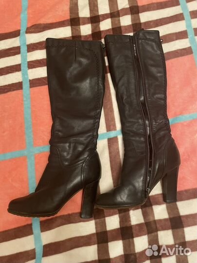 Сапоги женские