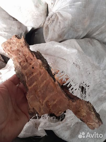 Кора сосны для мульчирования