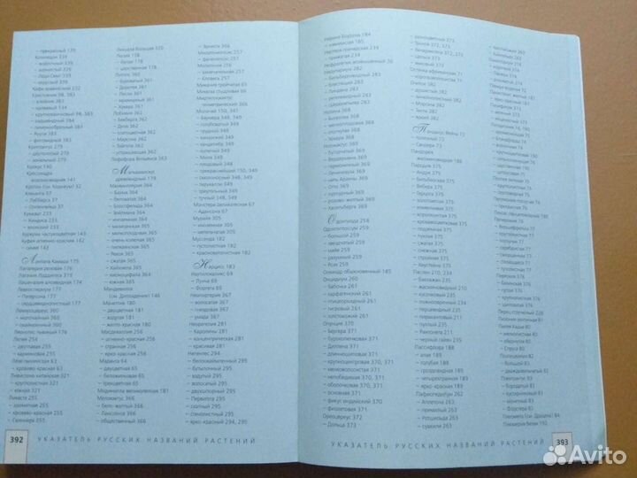 Комнатные растения