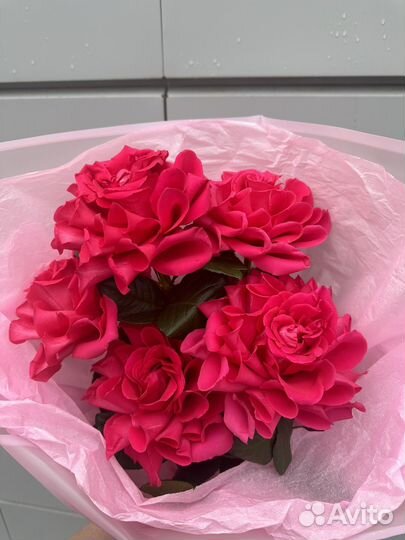 Букет французский роз