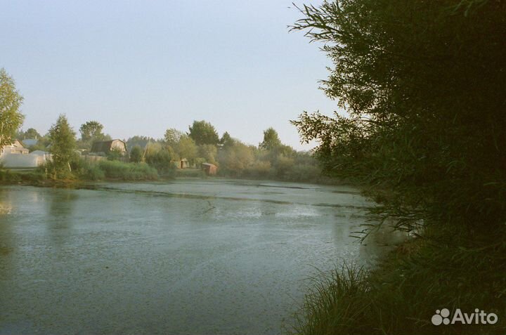 Цветная Киноплёнка Fujifilm Eterna 250D