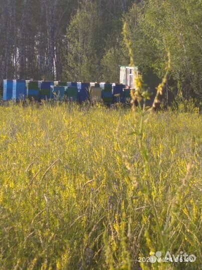 Прицеп для перевозки пчел