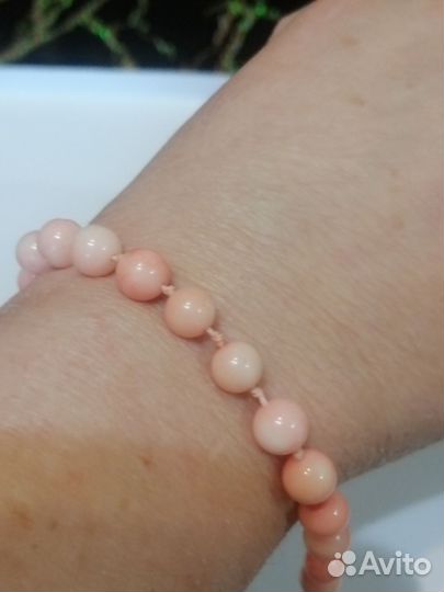 Набор из натур. кораллов