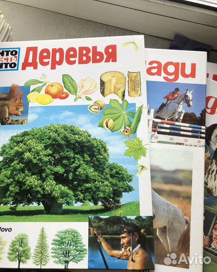 Детская энциклопедия