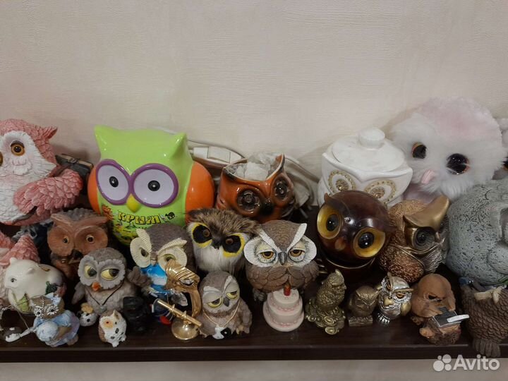 Коллекция сов