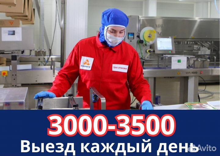 Выезд каждый день Грузчики Упаковщики М\Ж 15\30\45