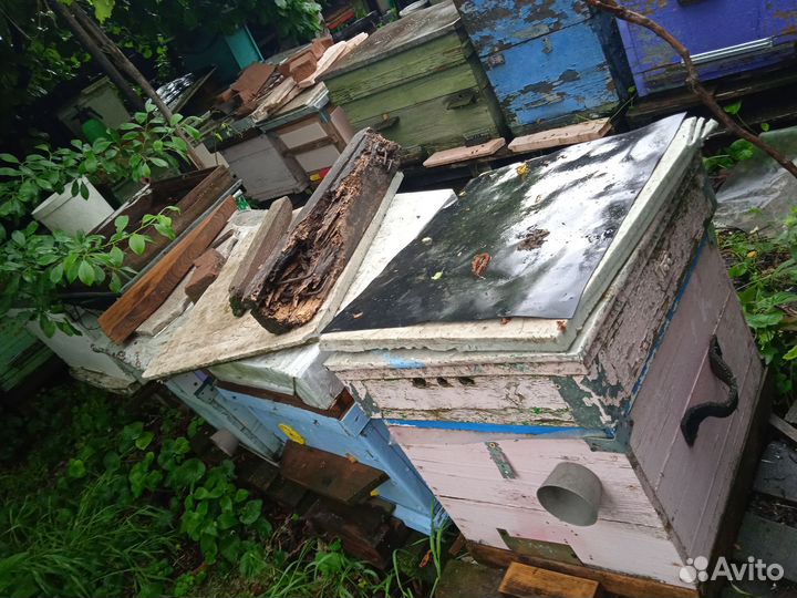 Ульи бу дадан