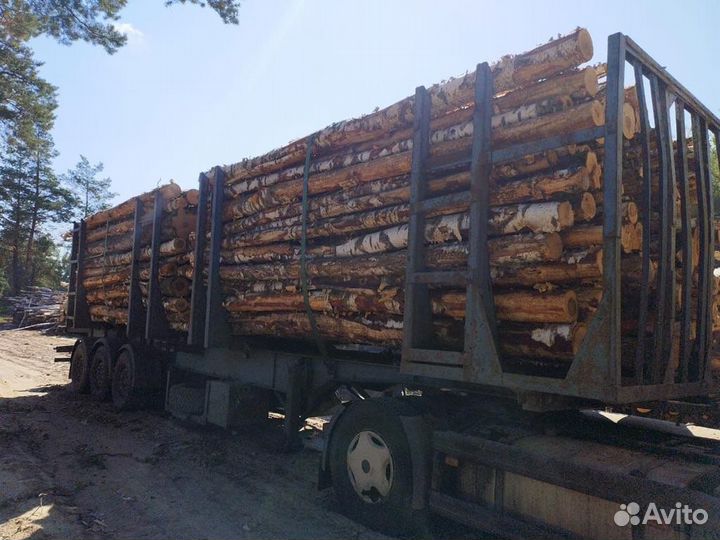 Лес кругляк на дрова