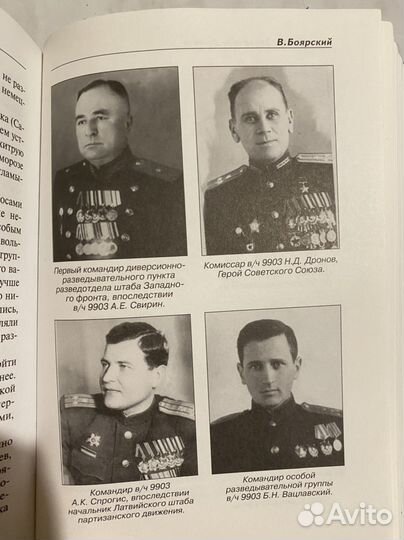 Диверсанты западного фронта Боярский