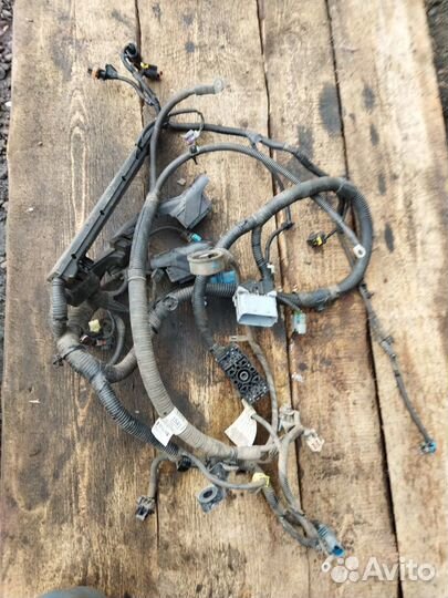 Проводка двигателя Chevrolet Cruze J308 F16D4