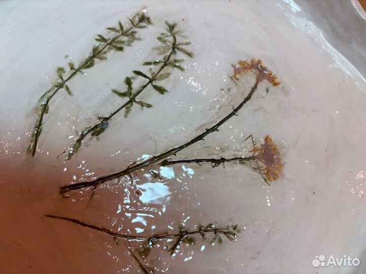 Тарелка ручной работы