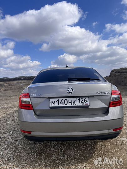 Аренда авто шкода октавия