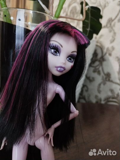 Кукла Монстер Хай дракулаура