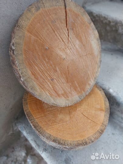 Спилы дерева для декора кедр и ангарская сосна