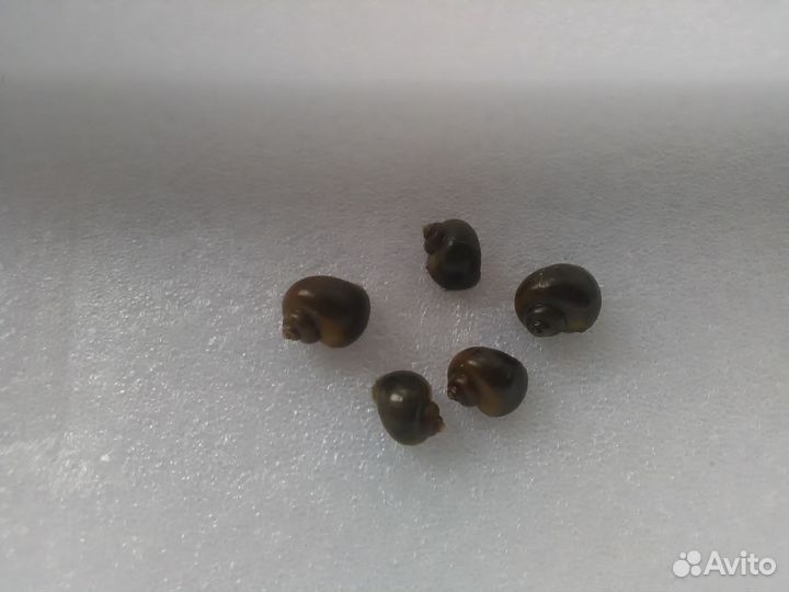 Нагреватель