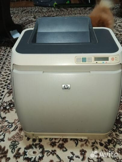 Принтер HP color laser jet 1600