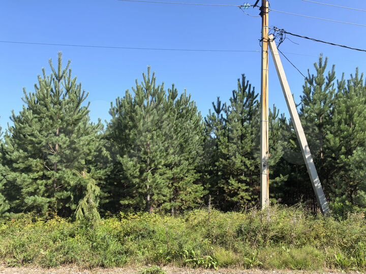 Участок 12 сот. (ИЖС)