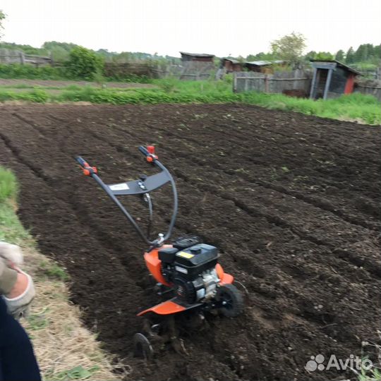 Чернозем доставка