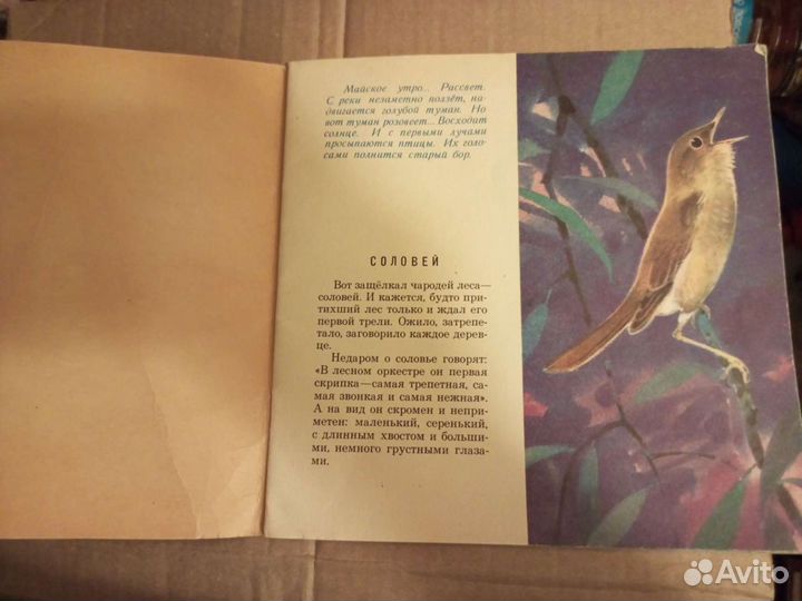 Ретро детская книжка. Голоса Певчих Птиц
