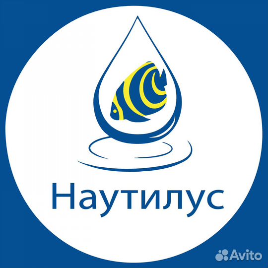 Черепашатники / Мостик для черепах