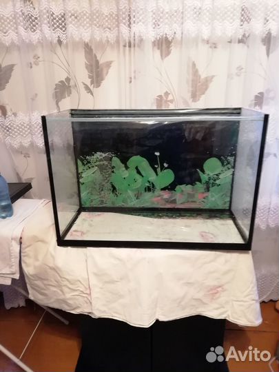 Продаю аквариум бу