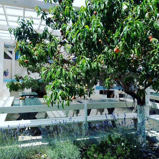 Комната 25 м², 1/3 эт.