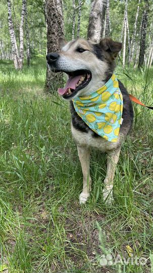 Сэм ждёт именно тебя