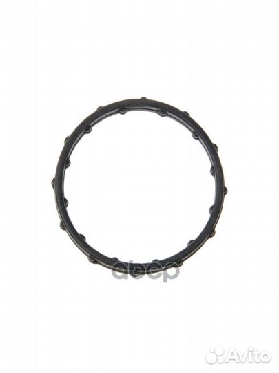 Уплотнит. кольцо (для европейского рынка)