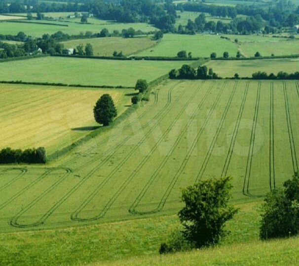 Участок 19 сот. (СНТ, ДНП)