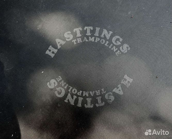 Батут Hasttings (3,05м)