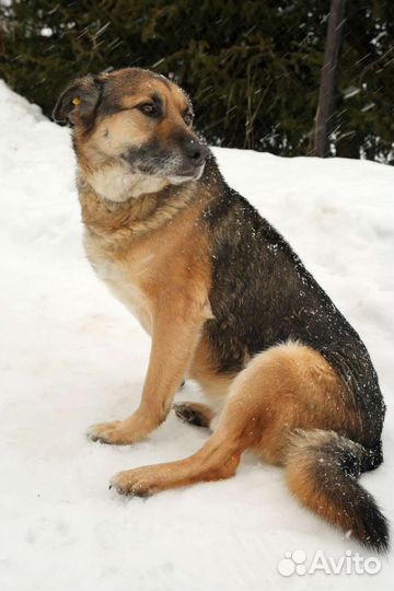 Не пролистывай меня