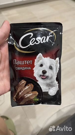 Корм для собак