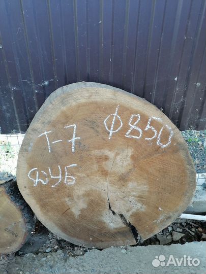 Спилы из дуба