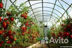 Теплица/ каркас зцк 6м из трубы 40/20/1,5мм