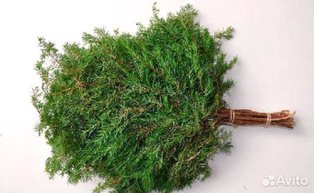 Веники для бани-можжевельник