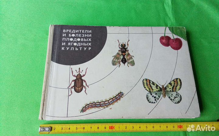 Культурные растения СССР. Москва 