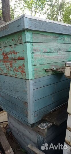Сушь рамки для пчелиных ульев. Ульи. Кубы