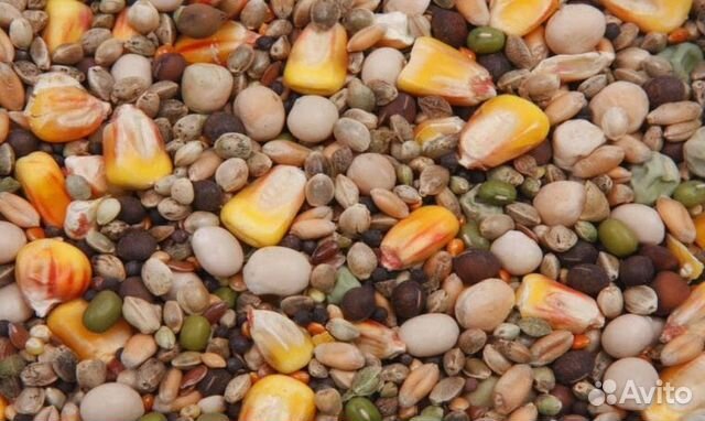 Зерносмесь - 5 видов зерна