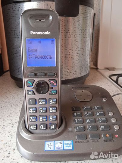 Panasonic