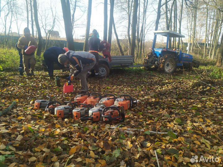 Спил деревьев