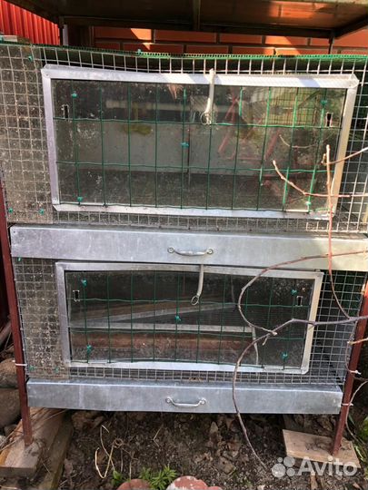 Клетки для кур цыплят перепелов