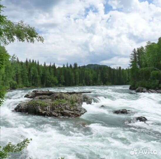 Приглашаю на рыбалку