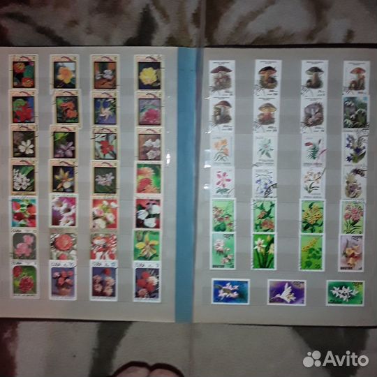 Марки коллекция на тему флора и фауна