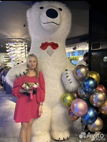 Белый Медведь, Поздравление, Аниматоры