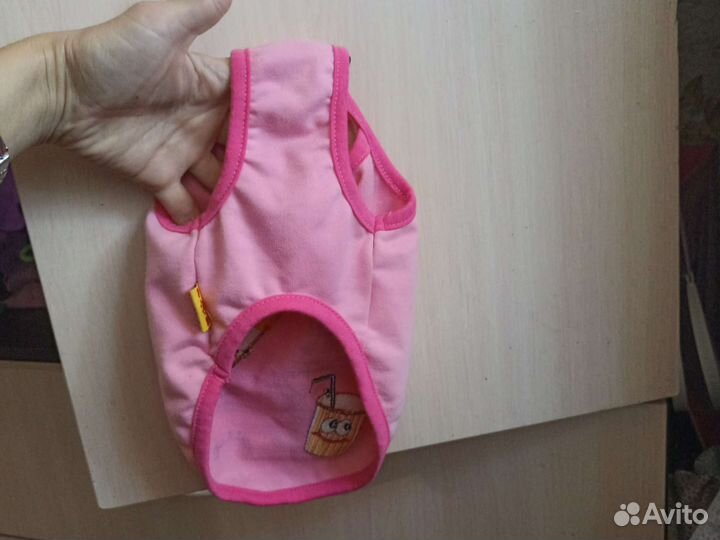 Вещи для маленьких собачек