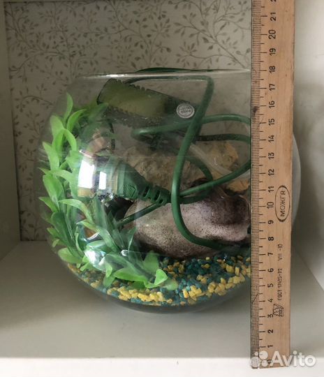 Аквариум с декором